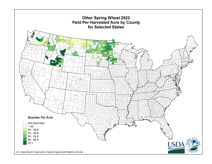 Spring Wheat: Yield per Harvested Acre by County