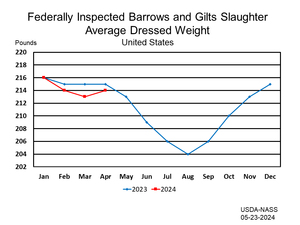 Barrows & Gilts: Federally Inspected Average Dressed Weight by Month and Year, US