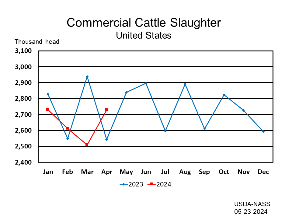 Cattle: Commercial Slaughter Number of Head by Month and Year, US
