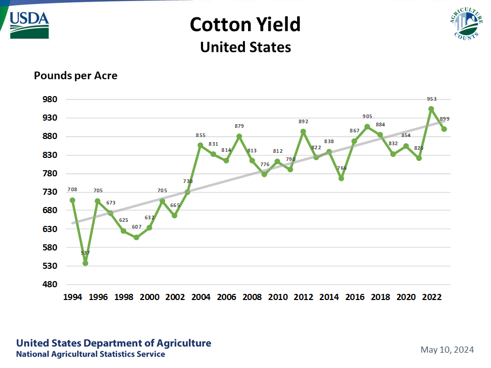 Cotton: Yield by Year
