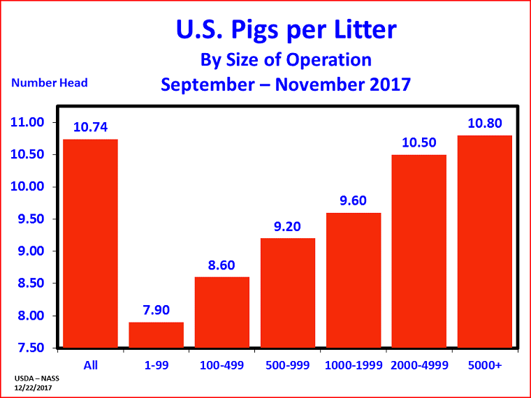 Hogs: Pigs per Litter by Size Group, US