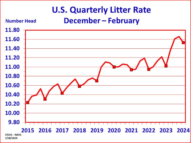 Hogs: Litter Rate by Quarter and Year, US