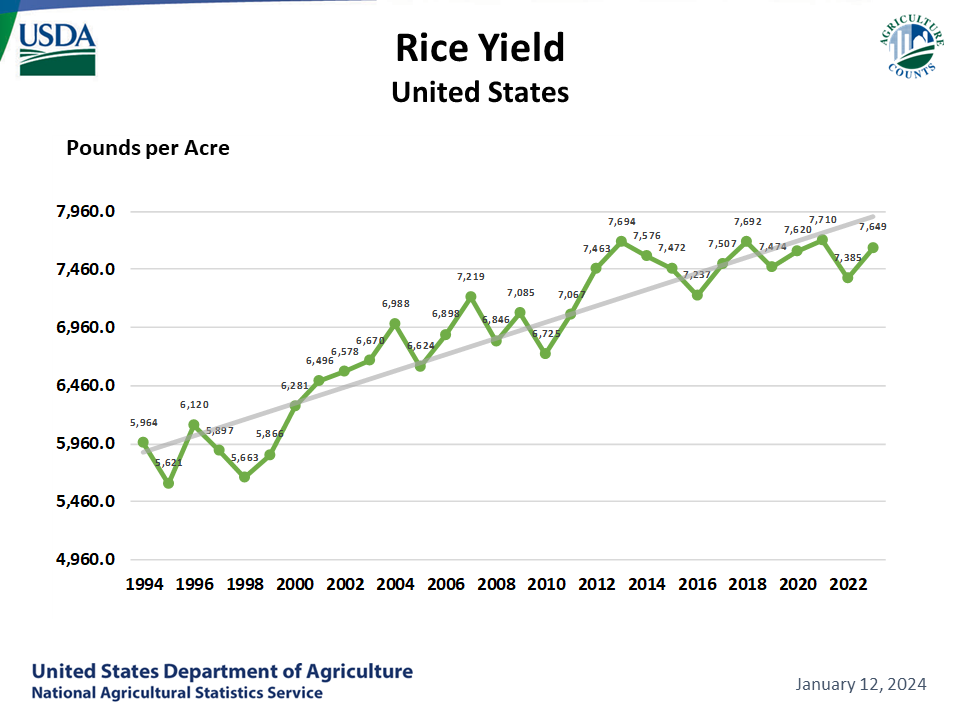 Rice: Yield by Year, US