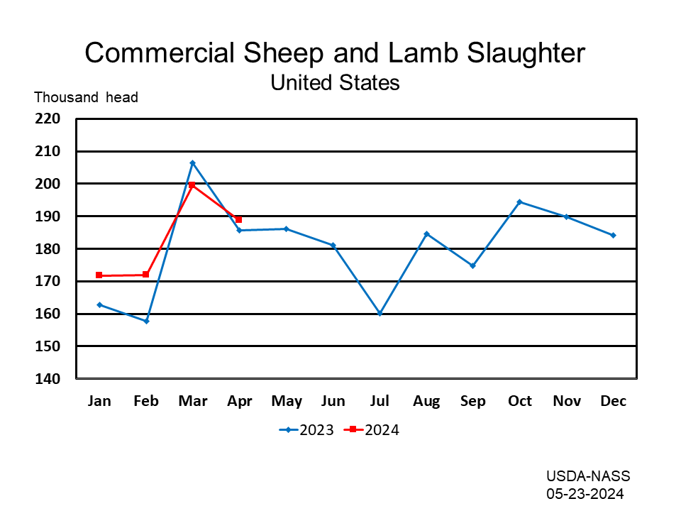 Sheep: Commercial Slaughter Number of Head by Month and Year, US