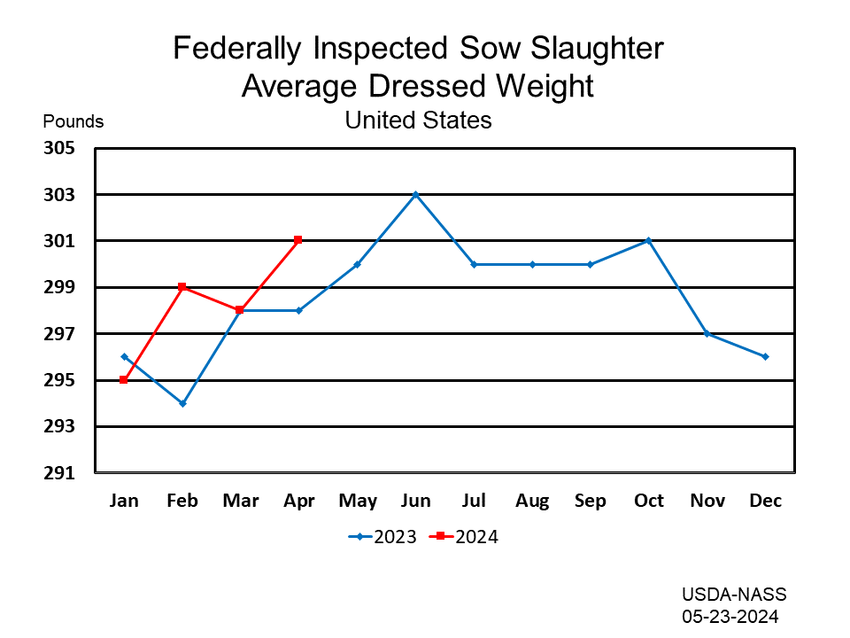 Sows: Federally Inspected Average Dressed Weight by Month and Year, US