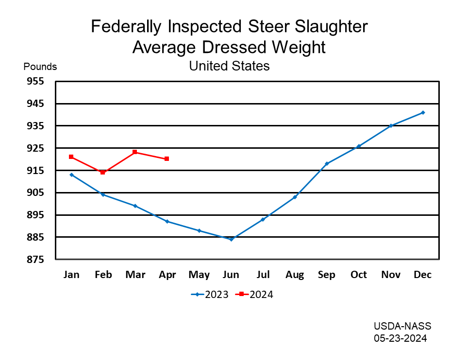 Steers: Federally Inspected Average Dressed Weight by Month and Year, US