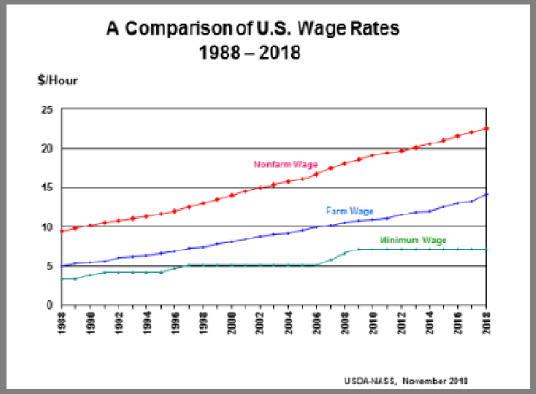 Farm Labor: Wage Rate by Type by Year, US