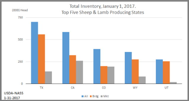 Sheep: Inventory by Type, Top 5 States