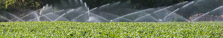 Irrigation Organizations Survey