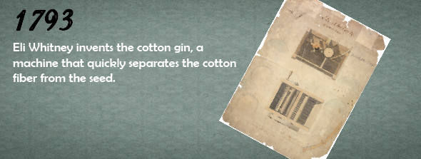 1793 - Eli Whitney invents the cotton gin, a machine that quickly separates the cotton fiber from the seed.