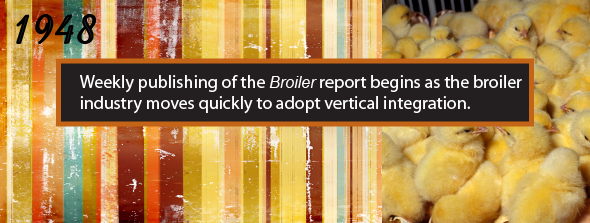 1948 - Weekly publishing of the Broiler report begins as the broiler industry moves quickly to adopt vertical integration.