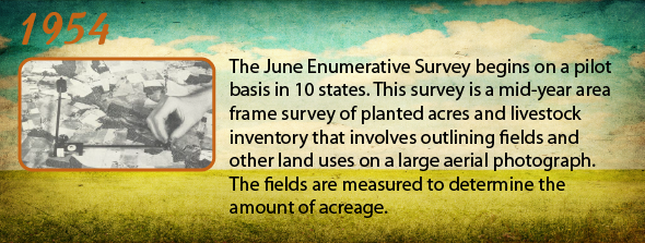1954 - The June Enumerative Survey begins on a pilot basis in 10 states. This survey is a mid-year area frame survey of planted acres and livestock inventory that involves outlining fields and other land uses on a large aerial photograph. The fields are measured to determine the amount of acreage.
