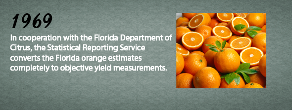 1969 - In cooperation with the Florida Department of Citrus, SRS converts the Florida orange estimates completely to objective yield measurements.