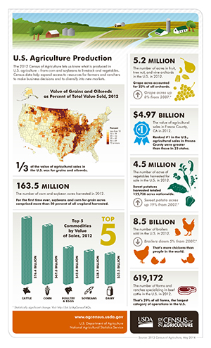 Infographic of U.S. Agriculture Production
