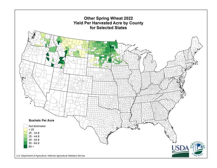 Spring Wheat: Yield per Harvested Acre by County