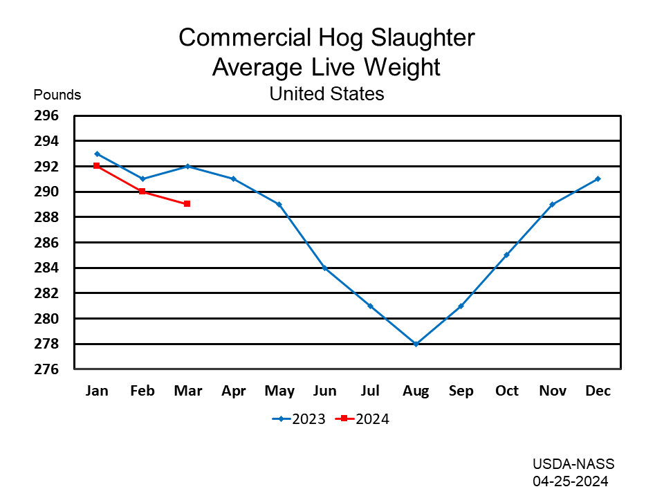 Hogs: Commercial Slaughter Average Liveweight by Month and Year, US
