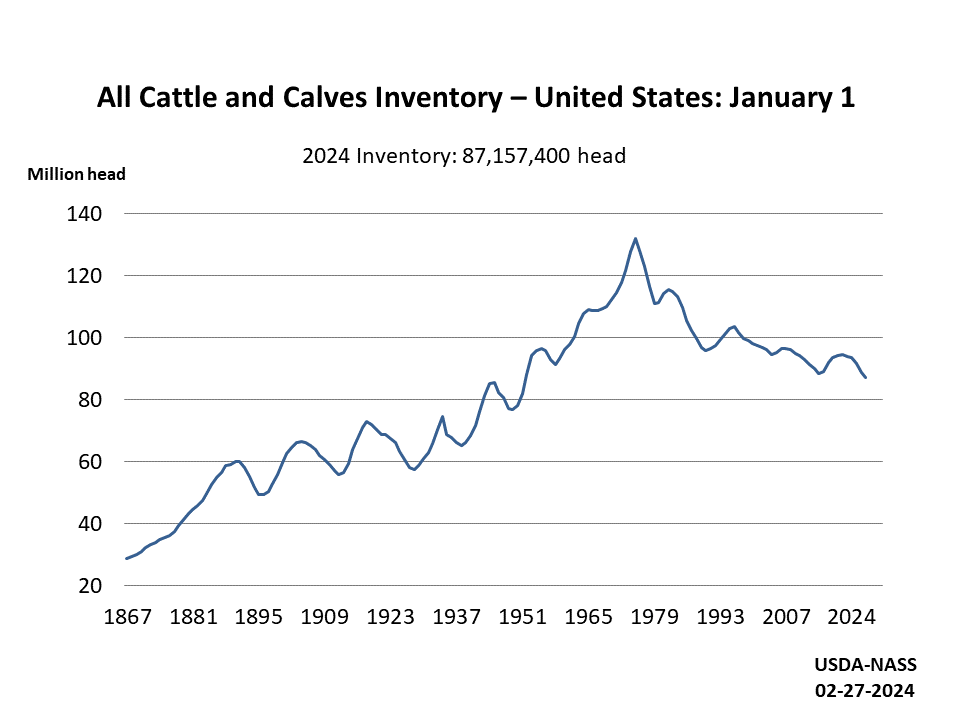 Cattle Growth Chart