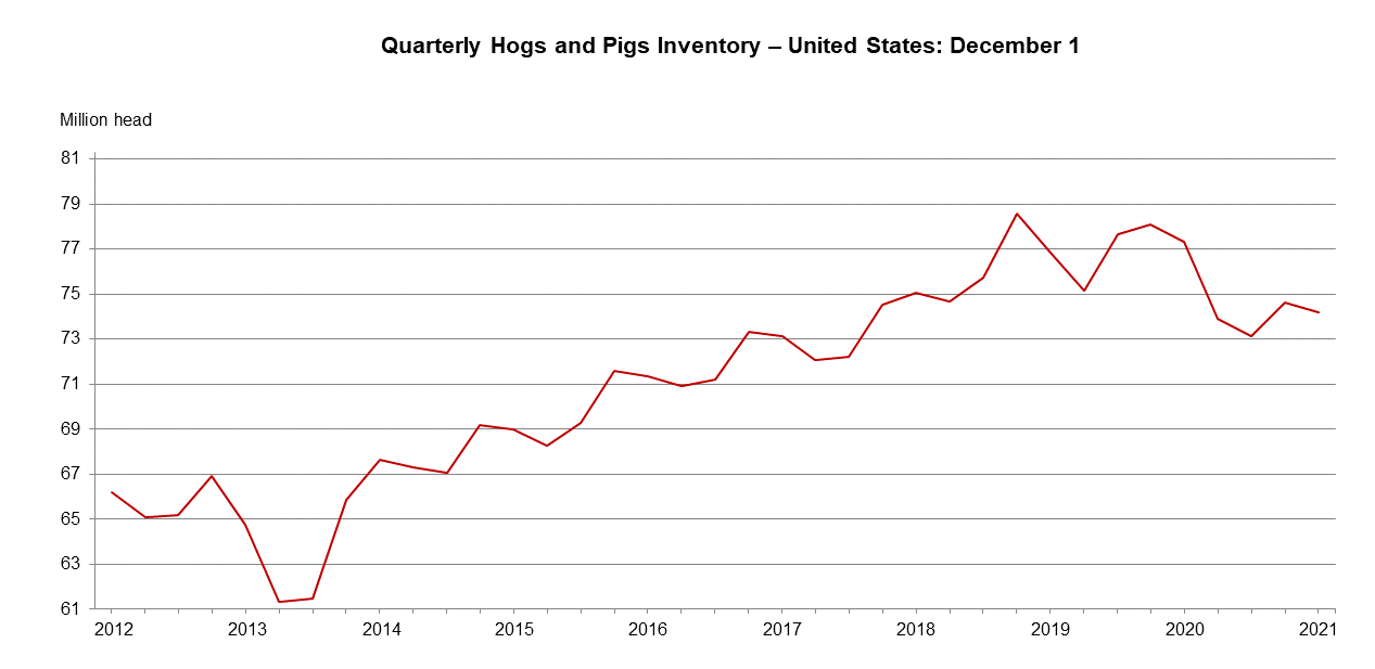 December 2021 Hogs Pigs Inventory