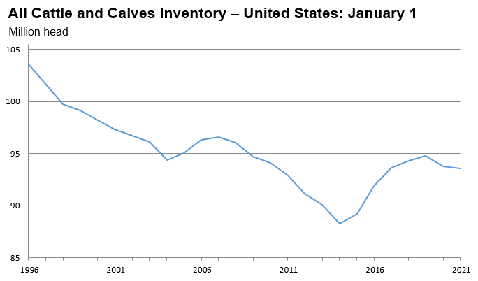 All cattle and calves inventory