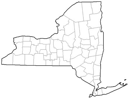 Image showing a county map of New York