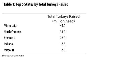 Top 5 States by Total Turkeys Raised