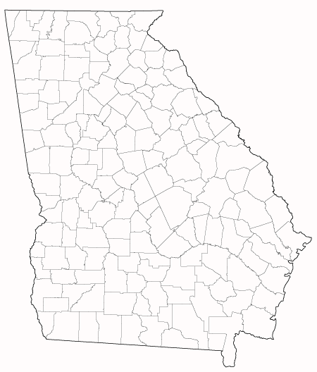 County outlines for GEORGIA