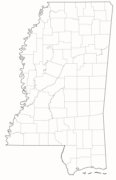 County outlines for MISSISSIPPI