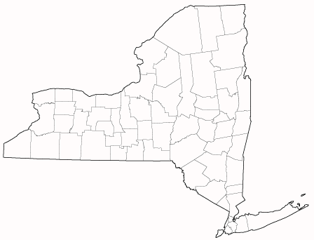 County outlines for NEW YORK