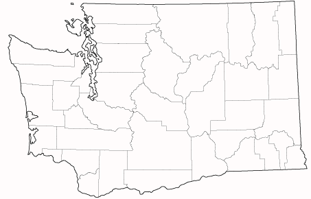 County outlines for WASHINGTON