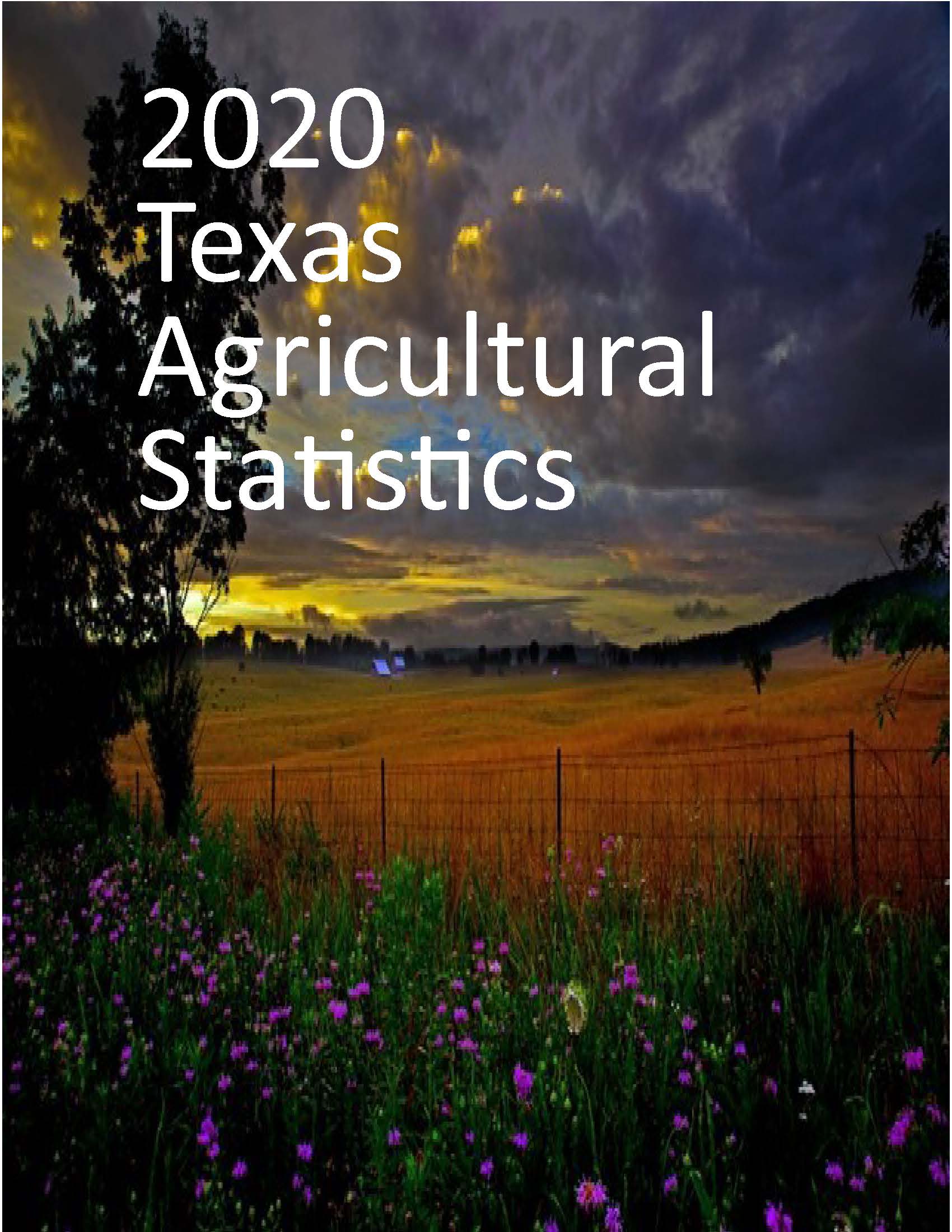 2020 Texas Agricultrual Statistics