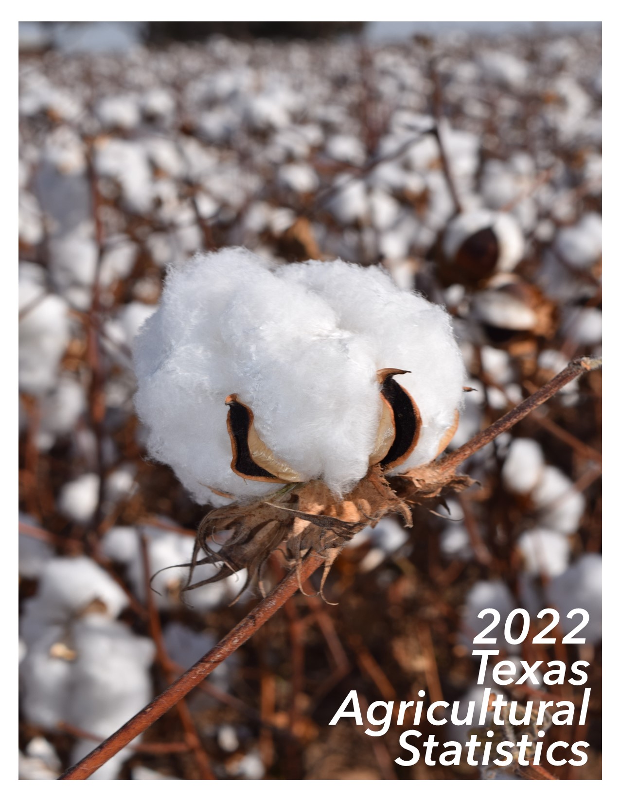 2022 Texas Agricultrual Statistics