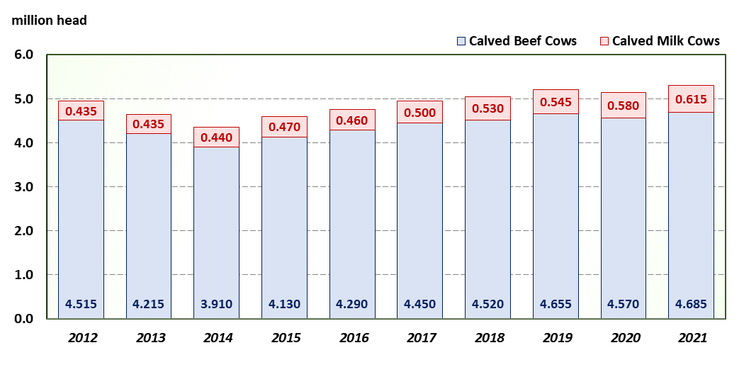 Texas Beef Cow and Milk Cow Inventory Chart