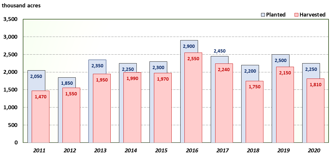 A bar chart of Texas Corn acreages for the last ten years.