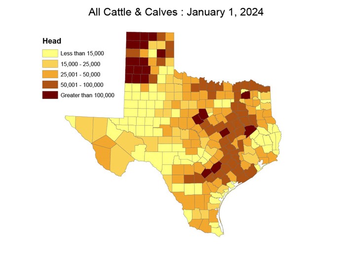 Texas Tier 1 Counties Map