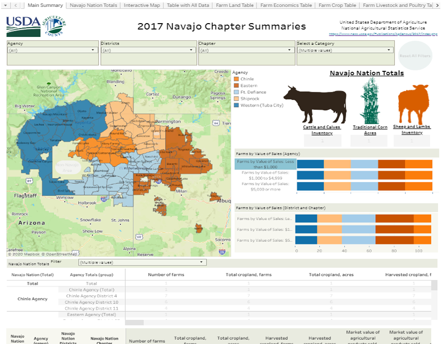 Thumbnail for Navajo Nation Profile Data Visualization