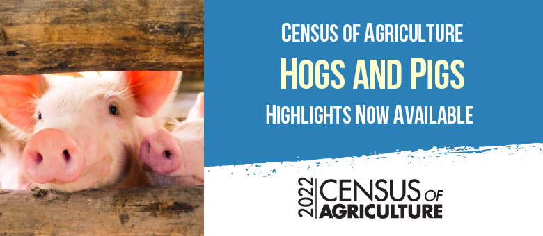 2022 Census of Agriculture Hogs and Pigs highlights now available.