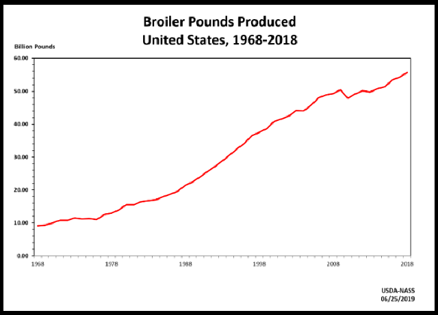 Broilers: Production by Year, US