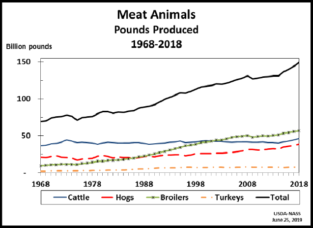 Meat Animals: Production by Year, US