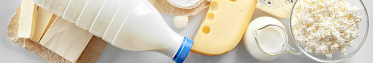 Dairy Products Survey